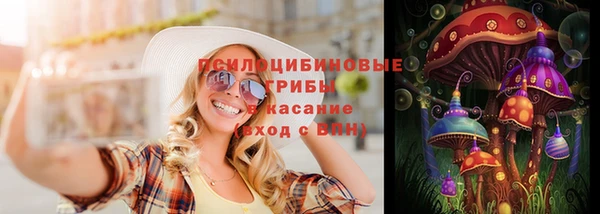 сатива Абаза