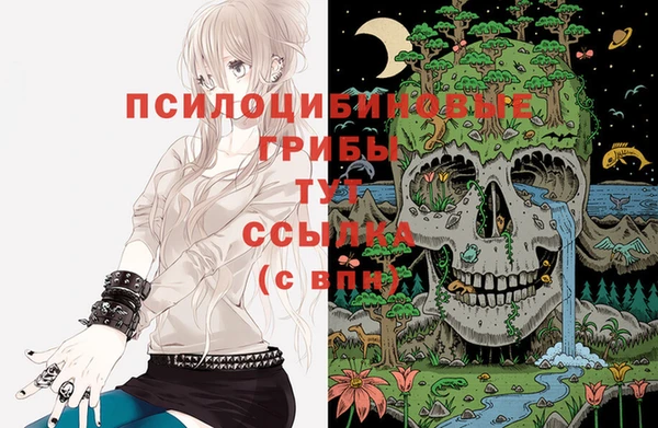 ПСИЛОЦИБИНОВЫЕ ГРИБЫ Абинск