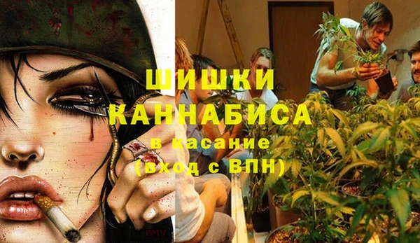 сатива Абаза