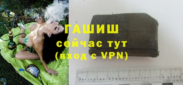 стаф Абдулино