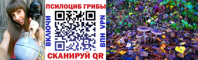 Псилоцибиновые грибы Magic Shrooms KRAKEN ONION Уржум закладка